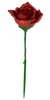 kolunych sent you a beatiful Red Rose!