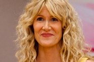 Laura Dern in "Enlightened"