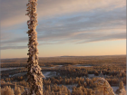 Autumn in Lapland