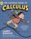 THE CARTOON GUIDE TO CALCULUS