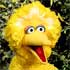 BigBird