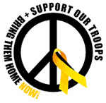 Support Our Troops: Bring Them Home Now!