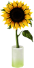 putfeot sent you a sunflower.