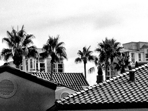 Vegas roofline view