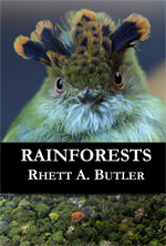 Rainforest book for kids