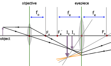 ray diagram for a compound microscope