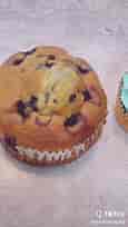 Muffins vs Cupcakes: Exploring the Key Differences