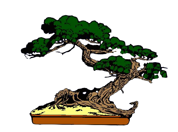 Image of Bonsai Tree Clipart #5088, Bonsai Free Clip Art Images ...