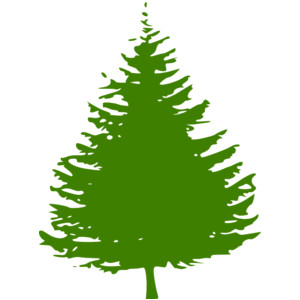 Pine Trees Clip Art - Tumundografico