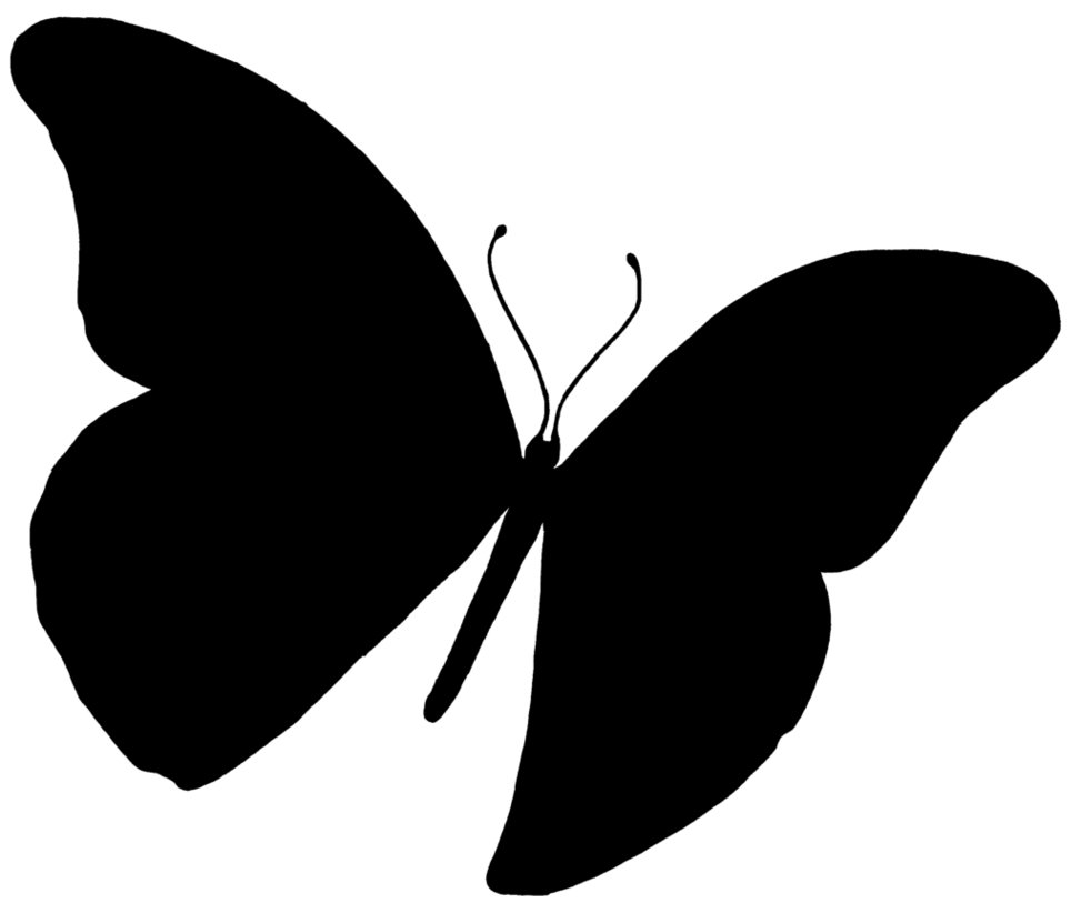 Butterfly Silhouette PNG - ClipArt Best