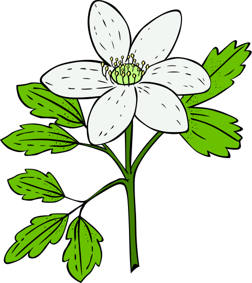 Free to Use & Public Domain Flowers Clip Art