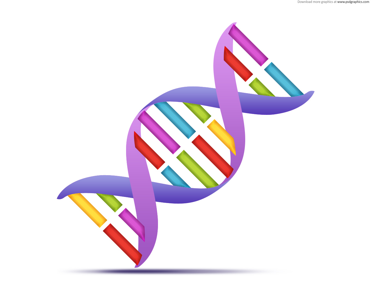 Double Helix Dna Strand | Jos Gandos Coloring Pages For Kids