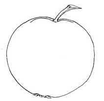 Apple Outline.jpg