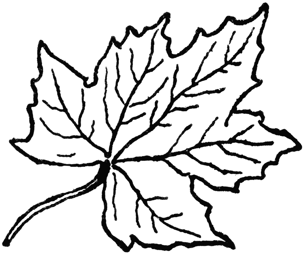 Leaf Line Art | Free Download Clip Art | Free Clip Art | on ...