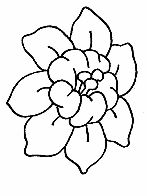 Cartoon Fancy Flower Coloring Pages Picture 22 – Beautiful Flower ...