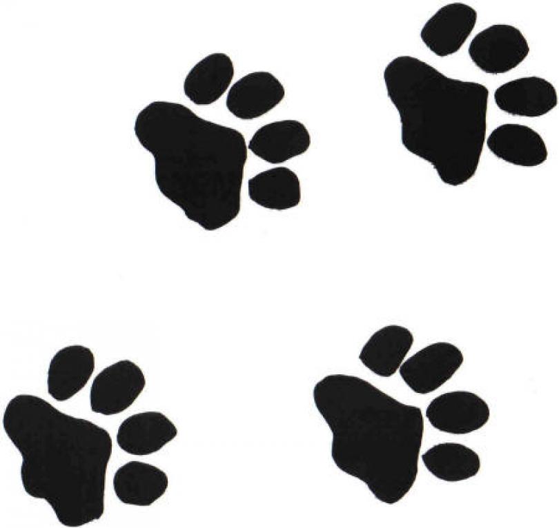 Black Panther Paw Clipart