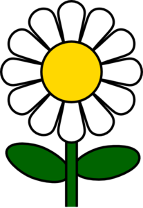 Daisy Flower Drawing - ClipArt Best