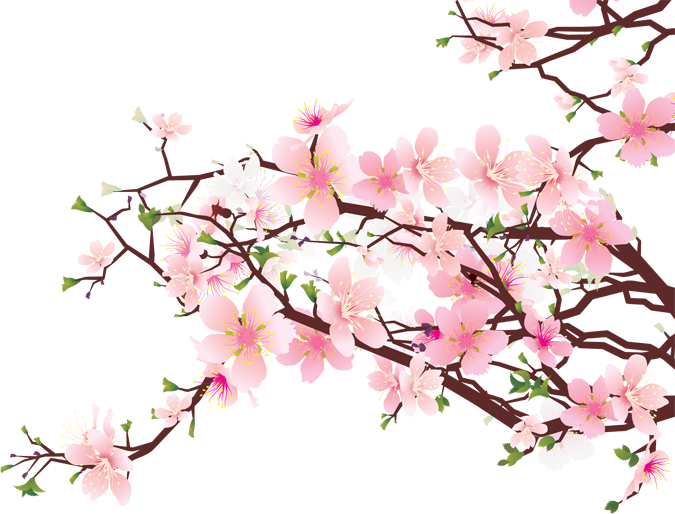 Cherry Blossom Design - ClipArt Best