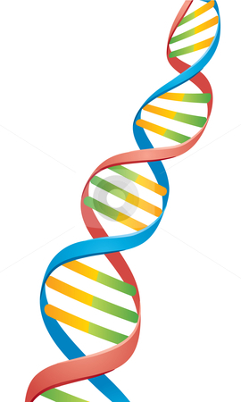 Double Helix DNA Strand stock - Free Clipart Images