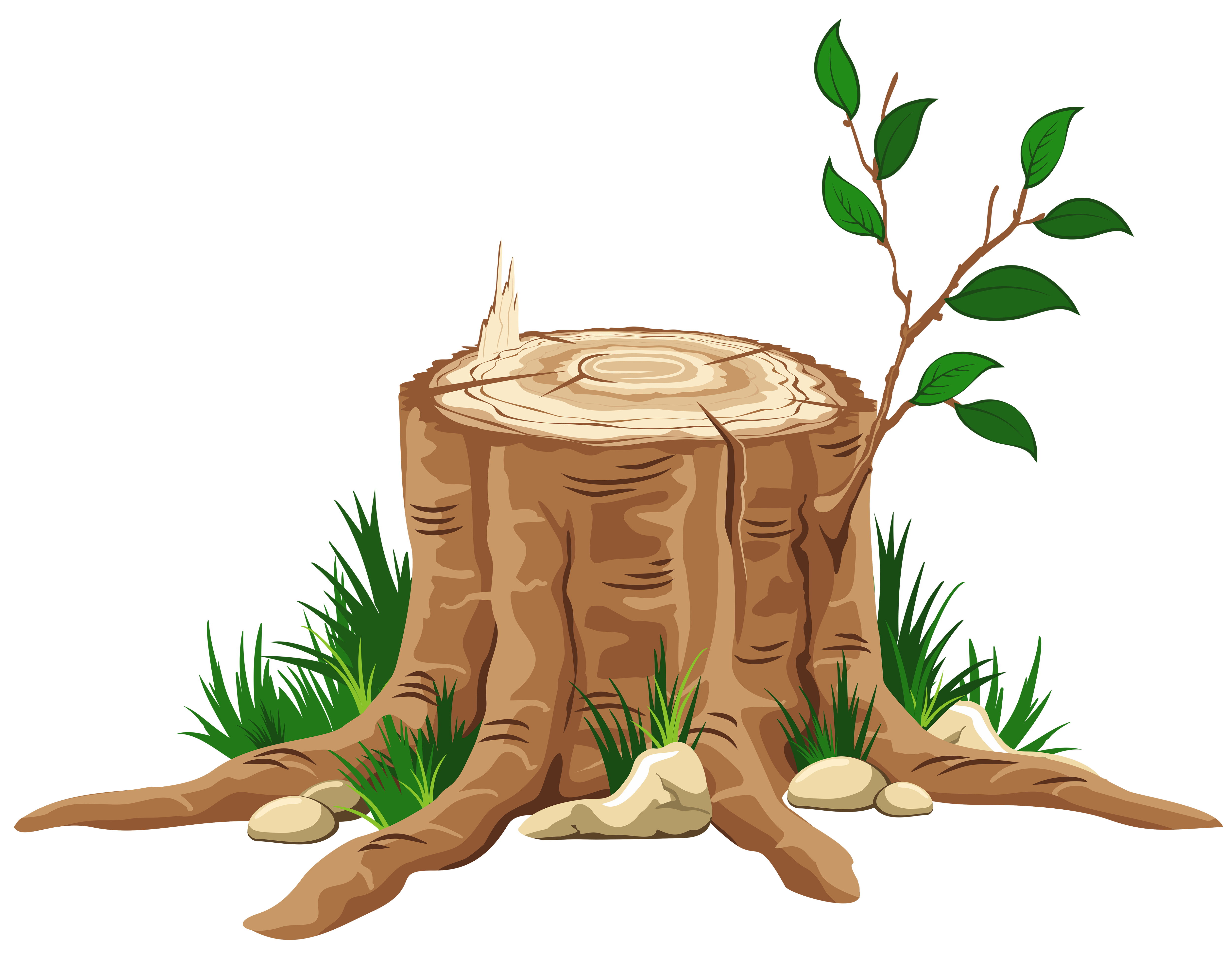 Transparent Tree Stump PNG Clipart