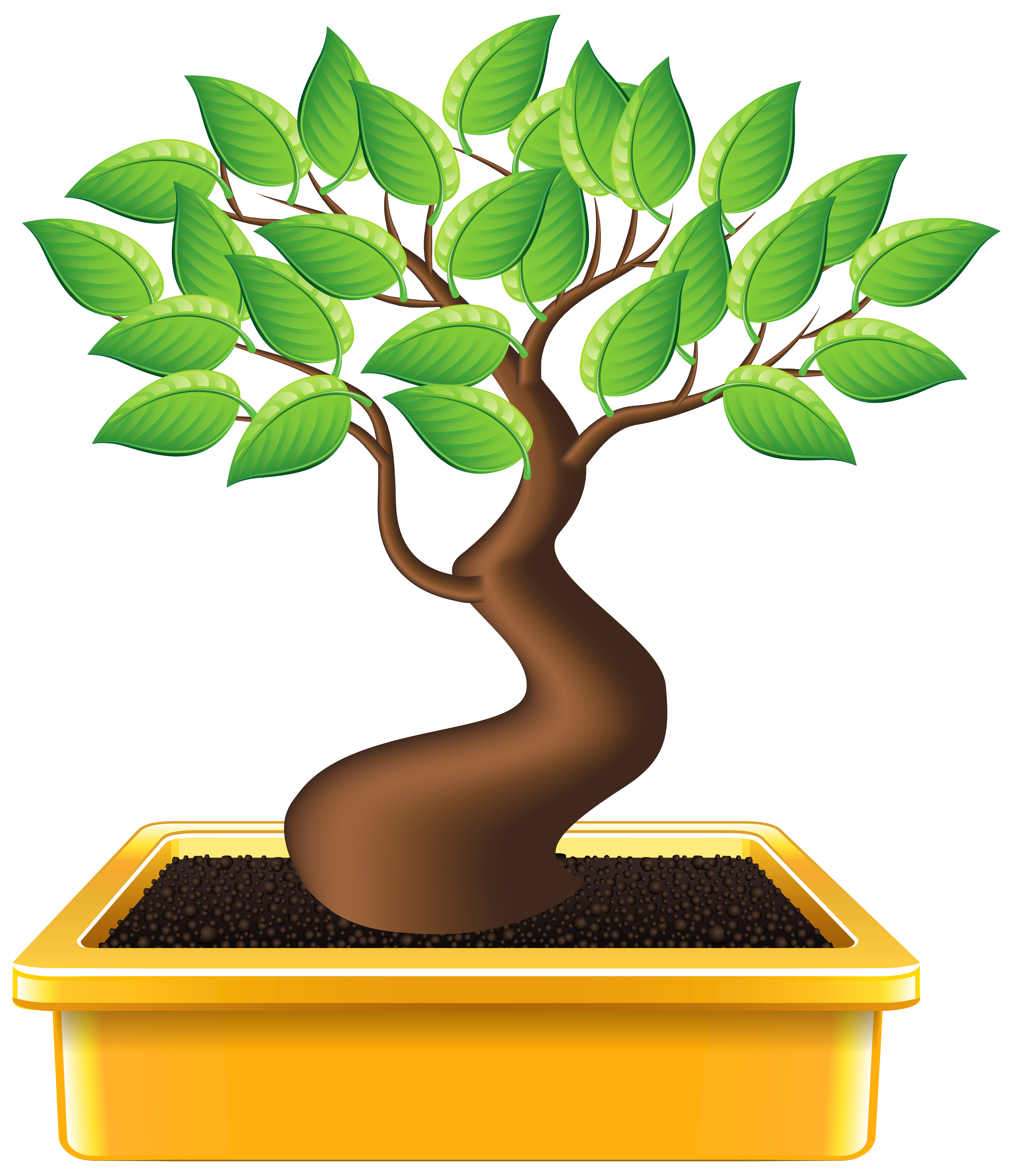 Bonsai PNG Clipart Image