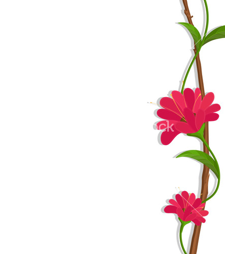 Purple Flowers Vector Branch Border Vector