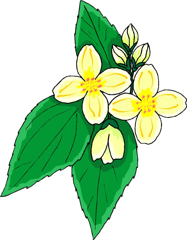 Clip Art - Clip art flowers 229080