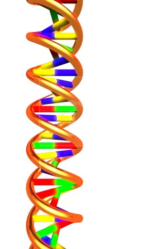 Double Helix Clip Art