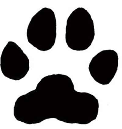 What Does A Lions Paw Look Llike - ClipArt Best