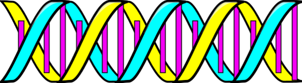 Dna helix clip art