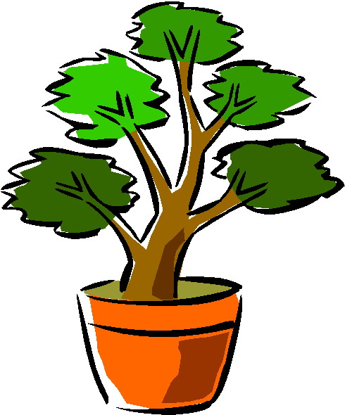 Image of Bonsai Tree Clipart #5088, Bonsai Free Clip Art Images ...