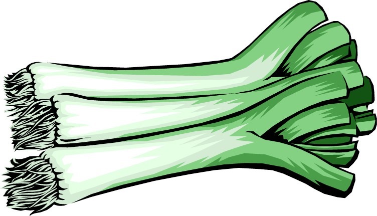 Welsh leek clipart