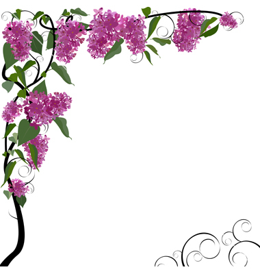 Clipart floral borders