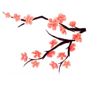 Cherry Blossom Design - ClipArt Best