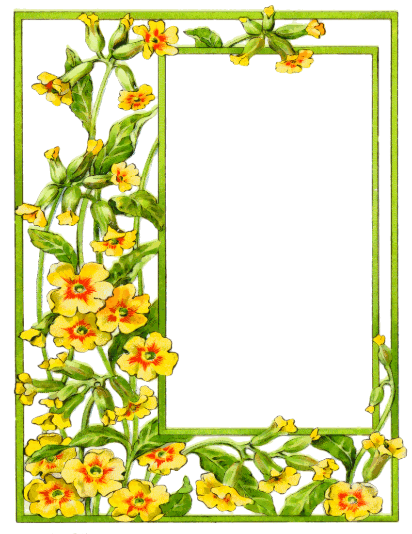 Flower Frame Clipart Bright Summer Flowers Border