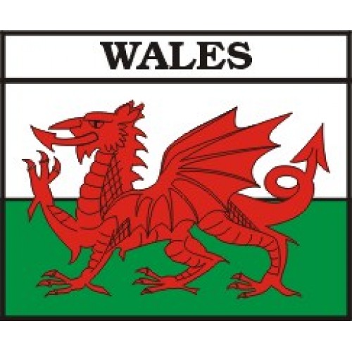 Vinyl Sticker - WELSH DRAGON FLAG