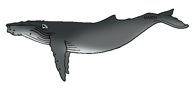 Humpback Whale Clipart - Tumundografico