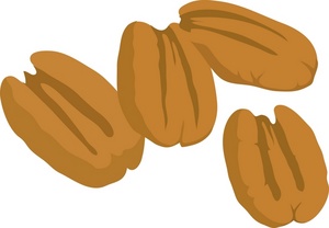 Nuts Clipart | Free Download Clip Art | Free Clip Art | on Clipart ...