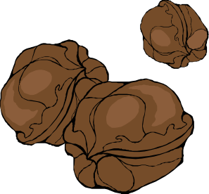 Walnuts clip art - vector clip art online, royalty free & public ...