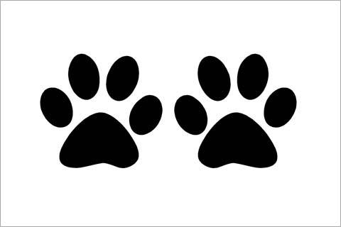 Cat Paw Print Template. cat paw postcards. free puppy dog paw ...