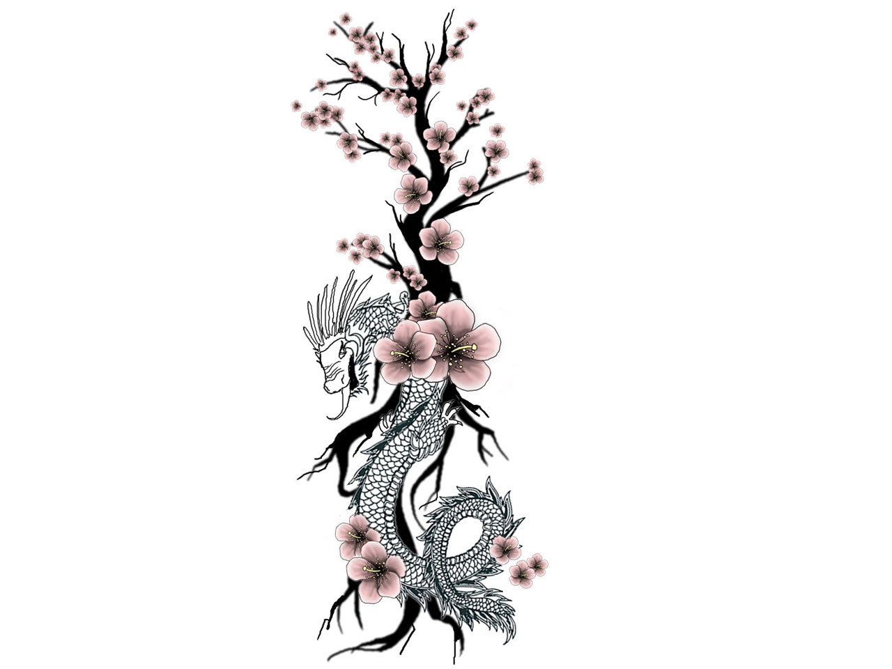 Cherry Blossom Tattoo Images & Designs