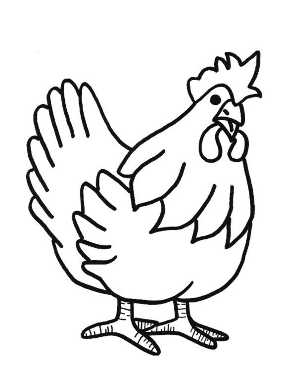 Hen Line Drawing - ClipArt Best