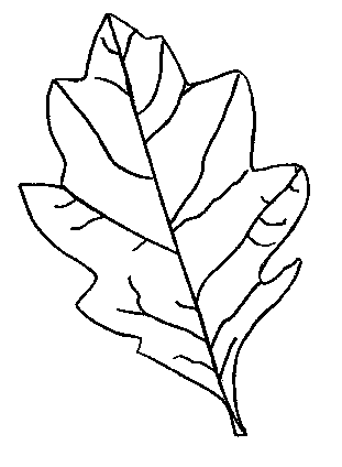 Fall Leaf Coloring Pages - School Projects Car Trip Activity