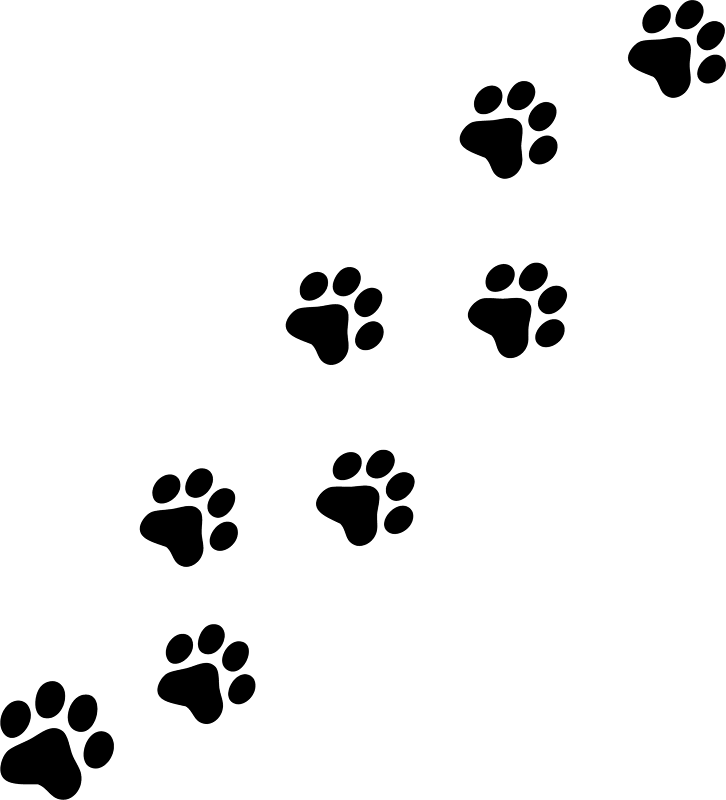 Panther paw print clipart