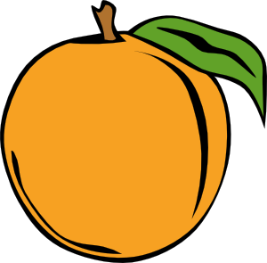 Orange Fruit Clipart