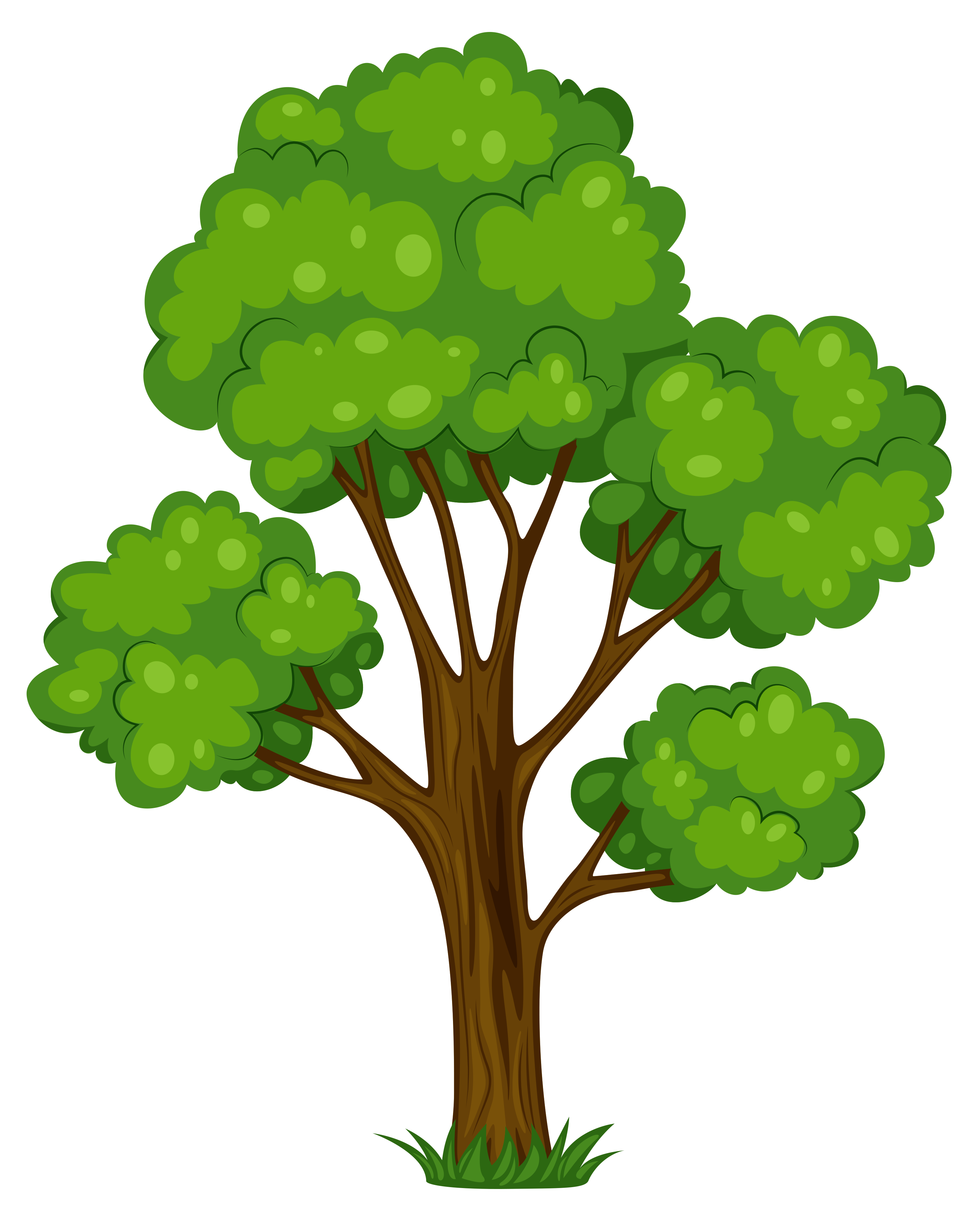 Tree clip art pictures - ClipartFox