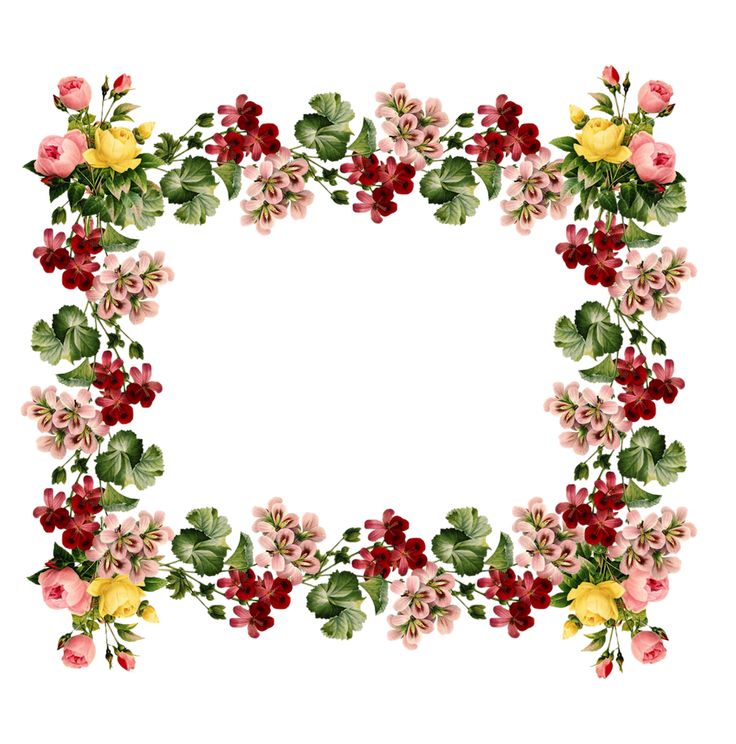 Floral Border Clipart - Tumundografico