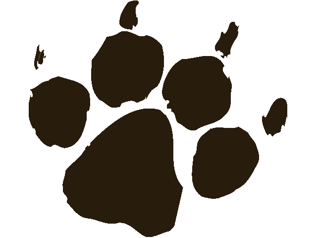 Lion Paw Print Clipart