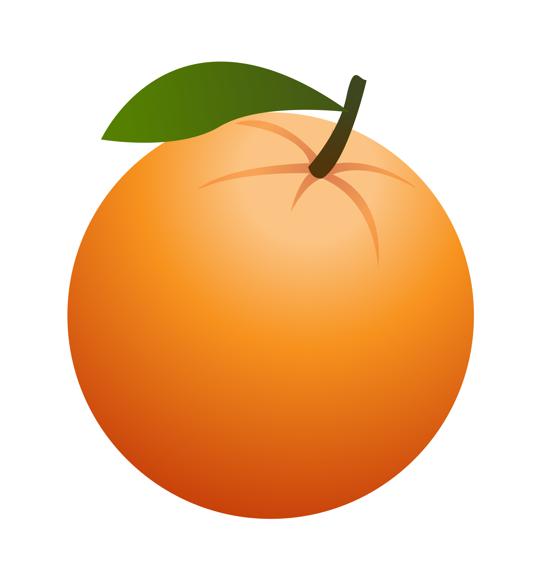 Fruit orange clipart