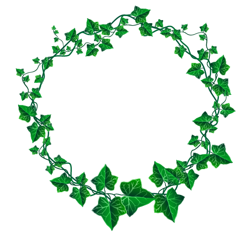 IVY'S TapRoom -